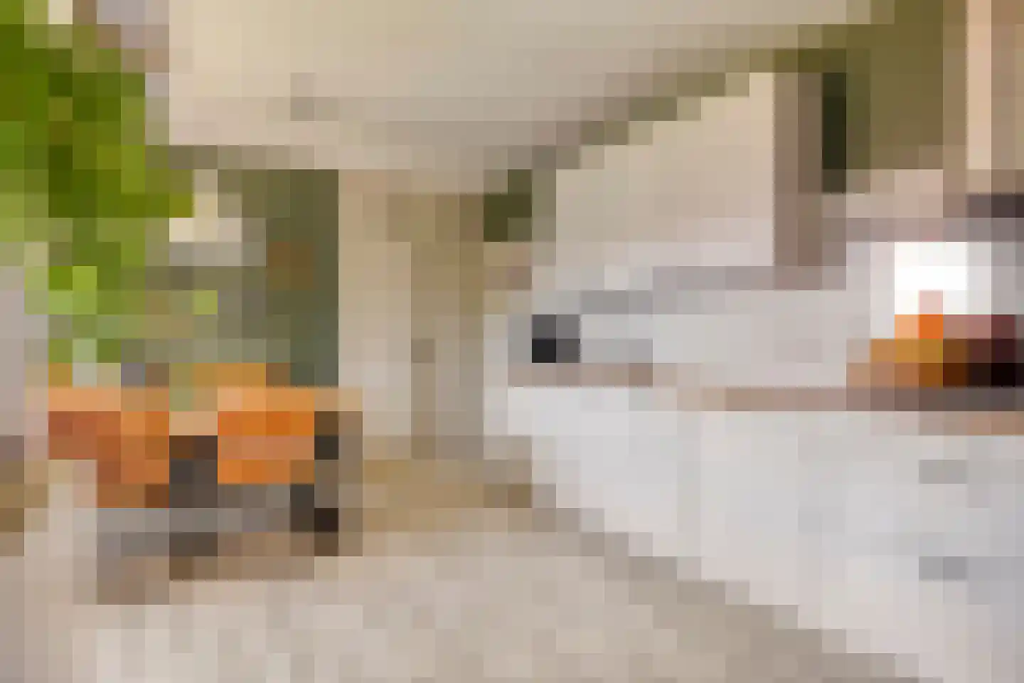 Julianastraat 1 Hoek thumbnail 17