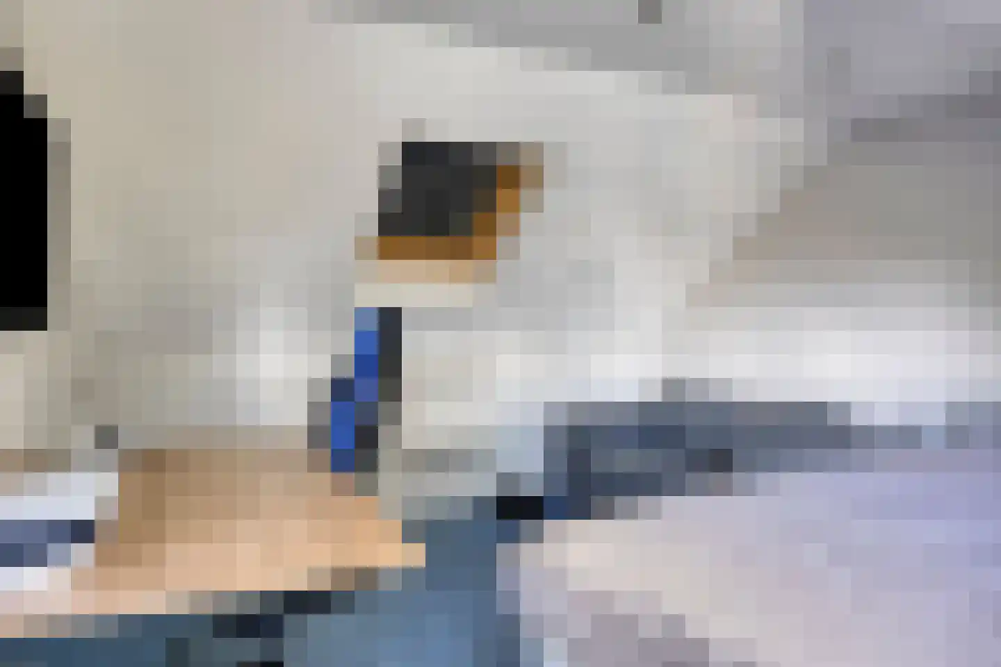 Julianastraat 1 Hoek thumbnail 29