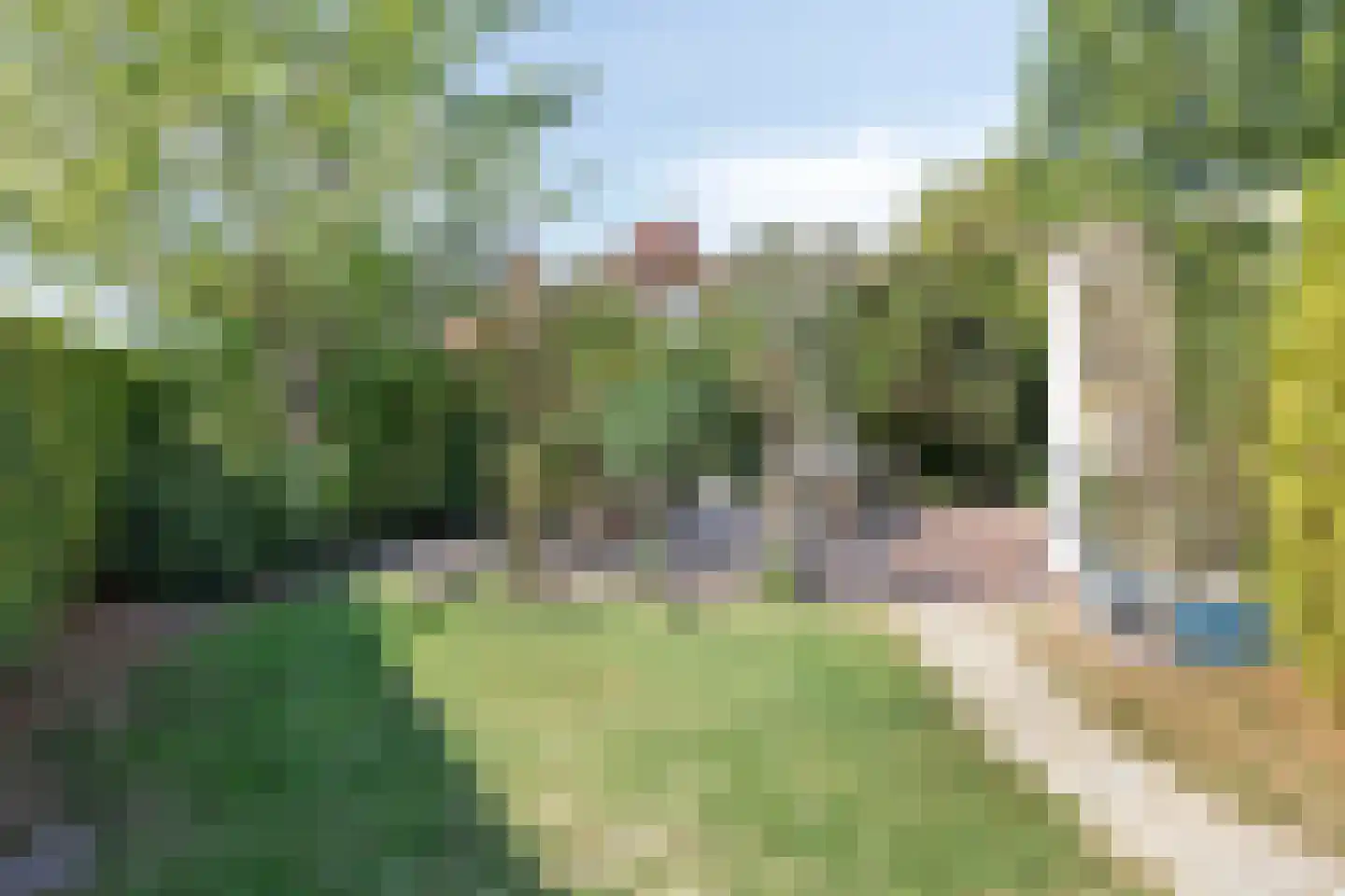 Julianastraat 1 Hoek thumbnail 31