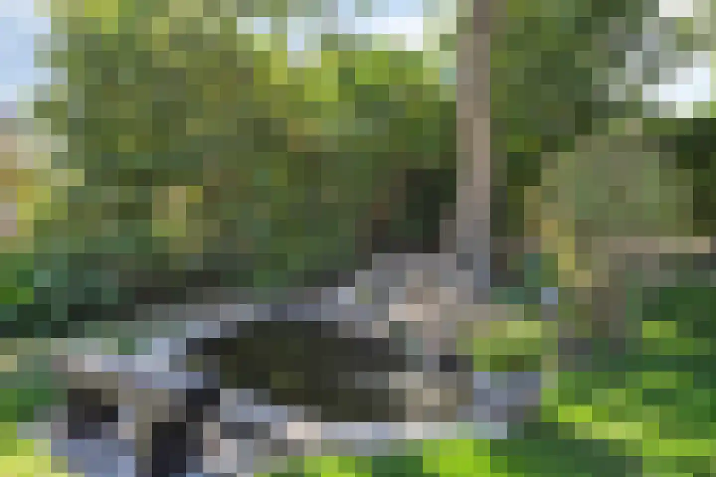 Julianastraat 1 Hoek thumbnail 35