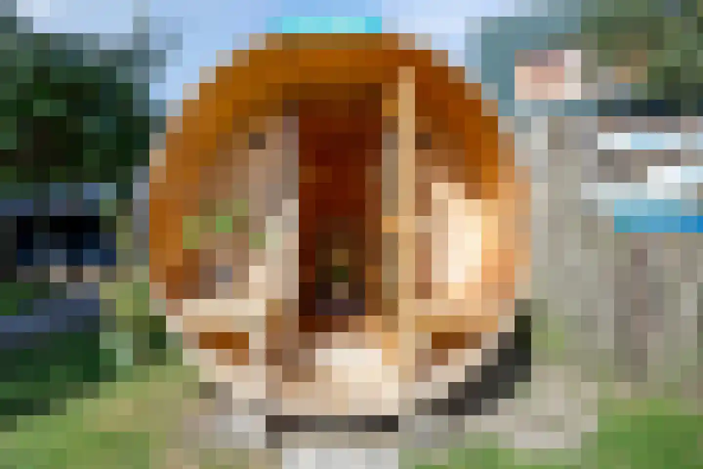 Julianastraat 1 Hoek thumbnail 40