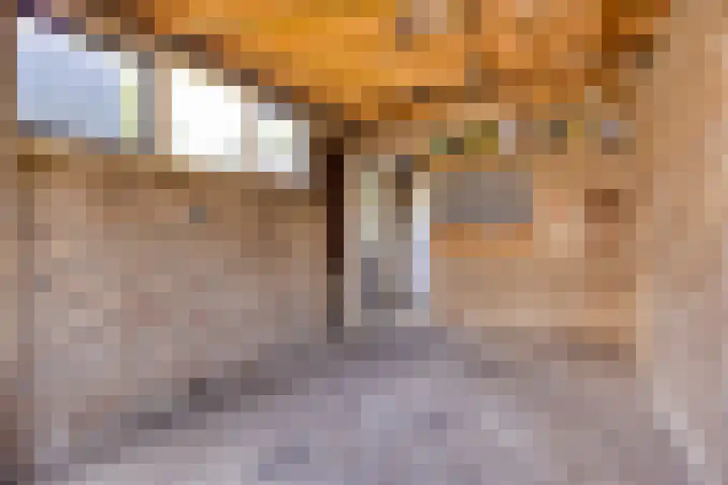 Julianastraat 1 Hoek thumbnail 45