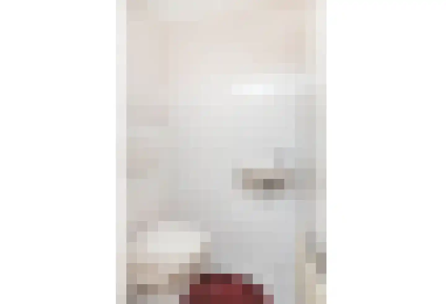 Julianastraat 1 Schinveld thumbnail 11