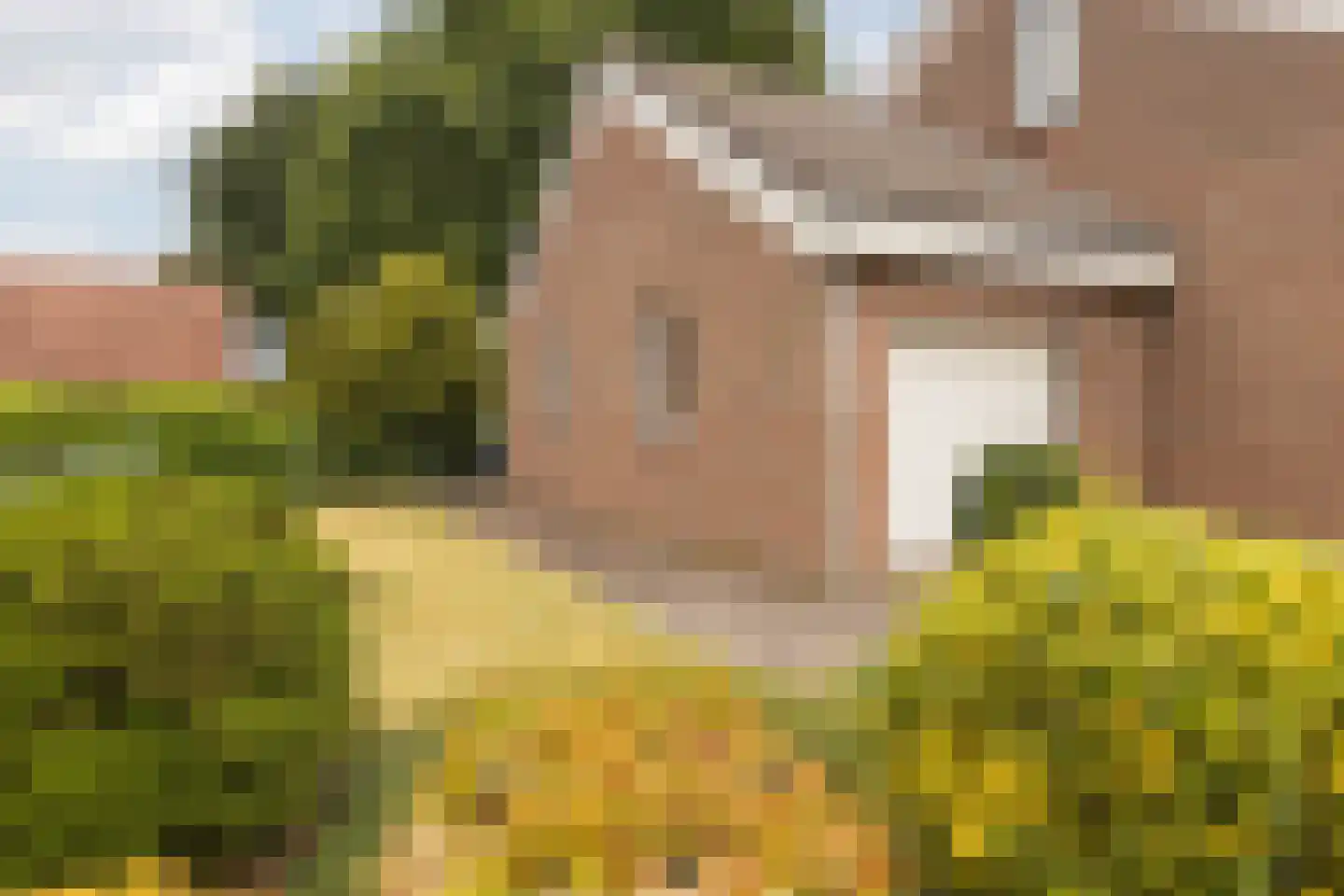 Julianastraat 1 Schinveld thumbnail 38