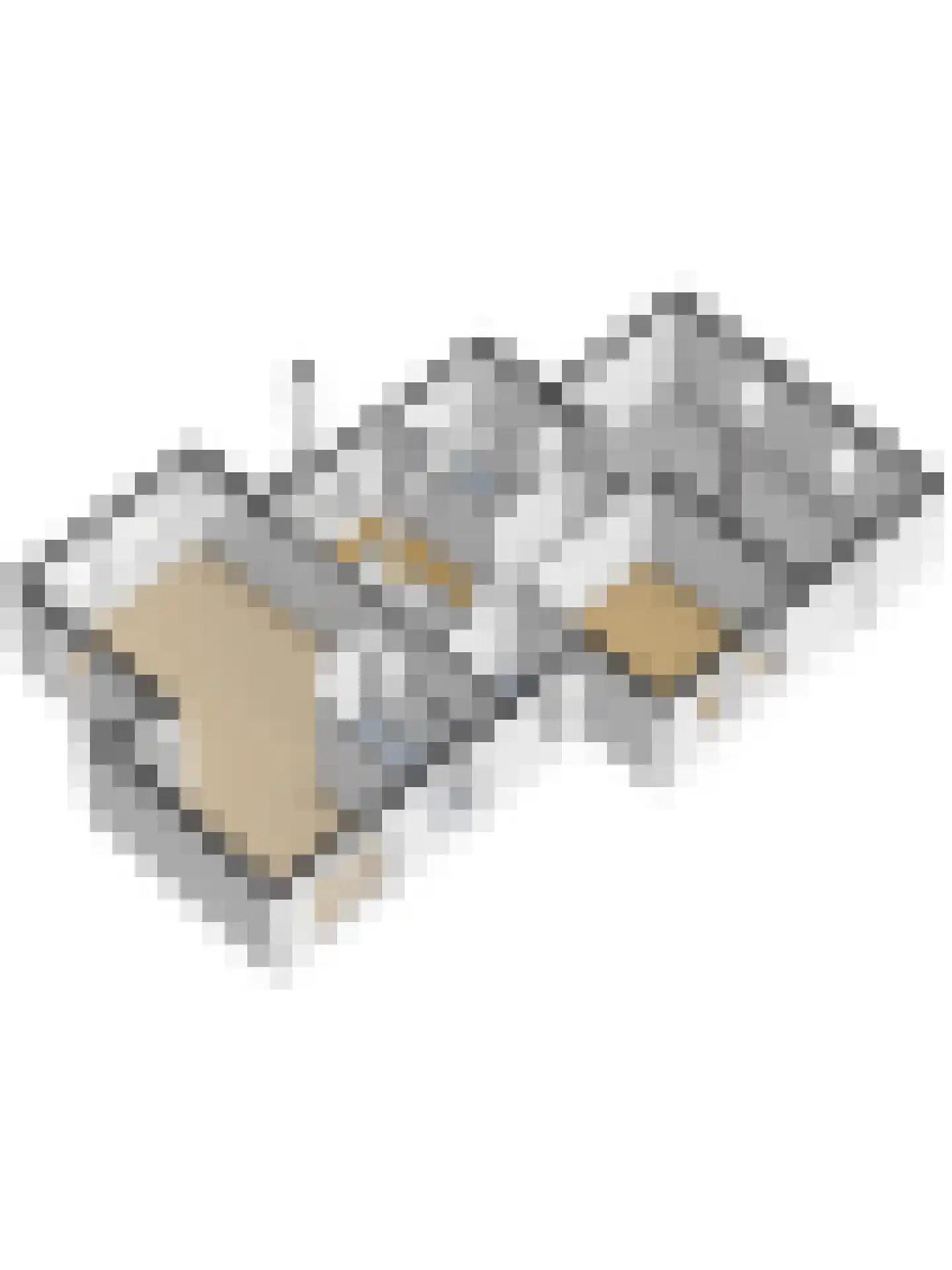 Julianastraat 1 Schinveld thumbnail 41