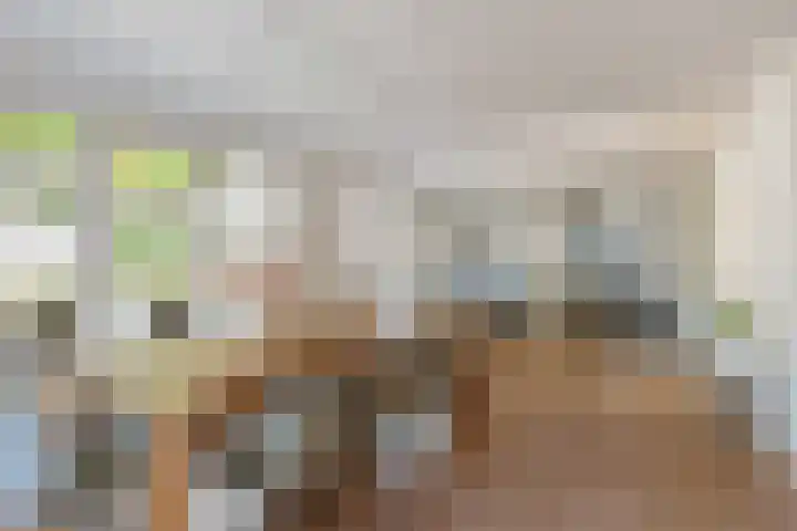 Julianastraat 1 Tubbergen thumbnail 11