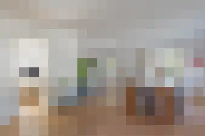 Julianastraat 1 Tubbergen thumbnail 12