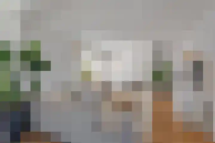 Julianastraat 1 Tubbergen thumbnail 13