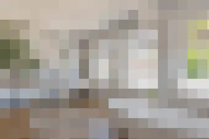 Julianastraat 1 Tubbergen thumbnail 16