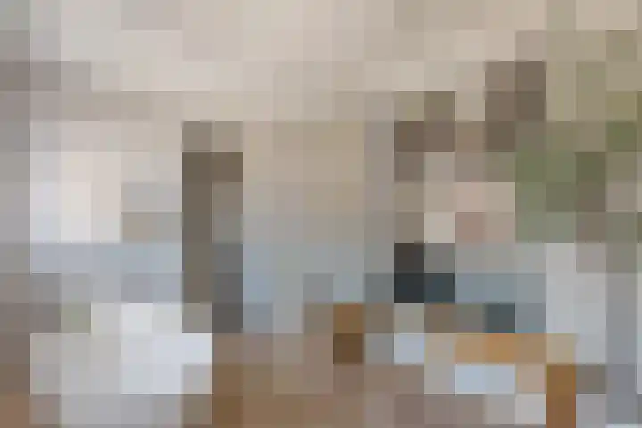 Julianastraat 1 Tubbergen thumbnail 17