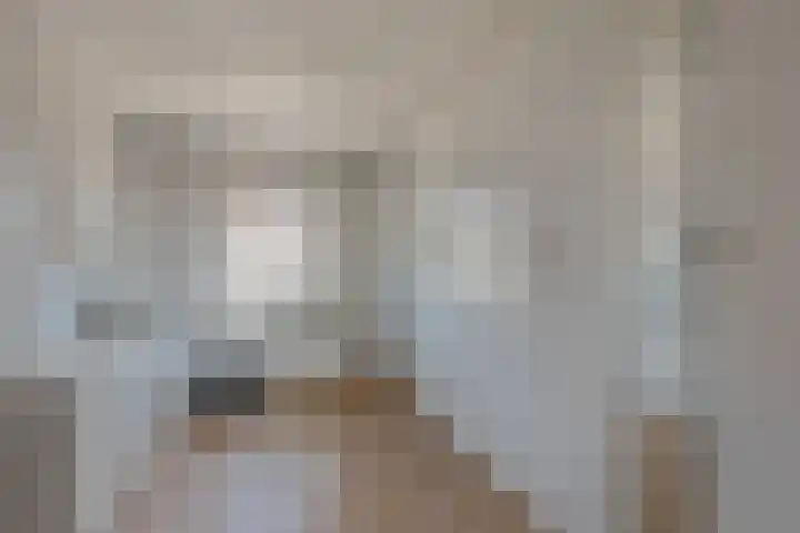 Julianastraat 1 Tubbergen thumbnail 20