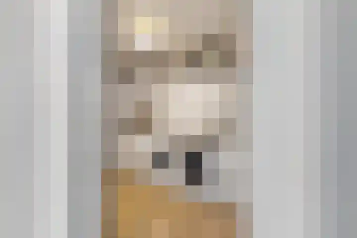 Julianastraat 1 Tubbergen thumbnail 25