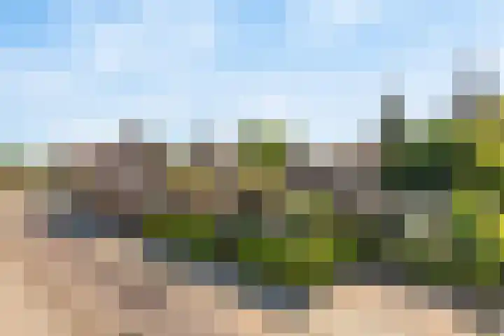 Julianastraat 1 Tubbergen thumbnail 26
