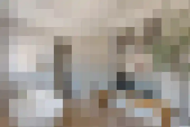 Julianastraat 1 Tubbergen thumbnail 4