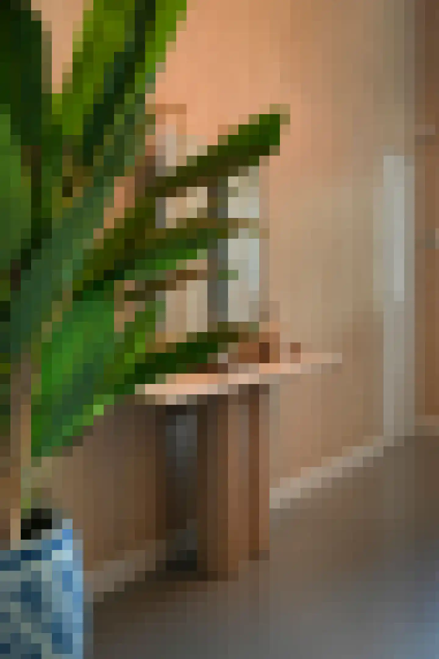 Julianastraat 1 Vlijmen thumbnail 16