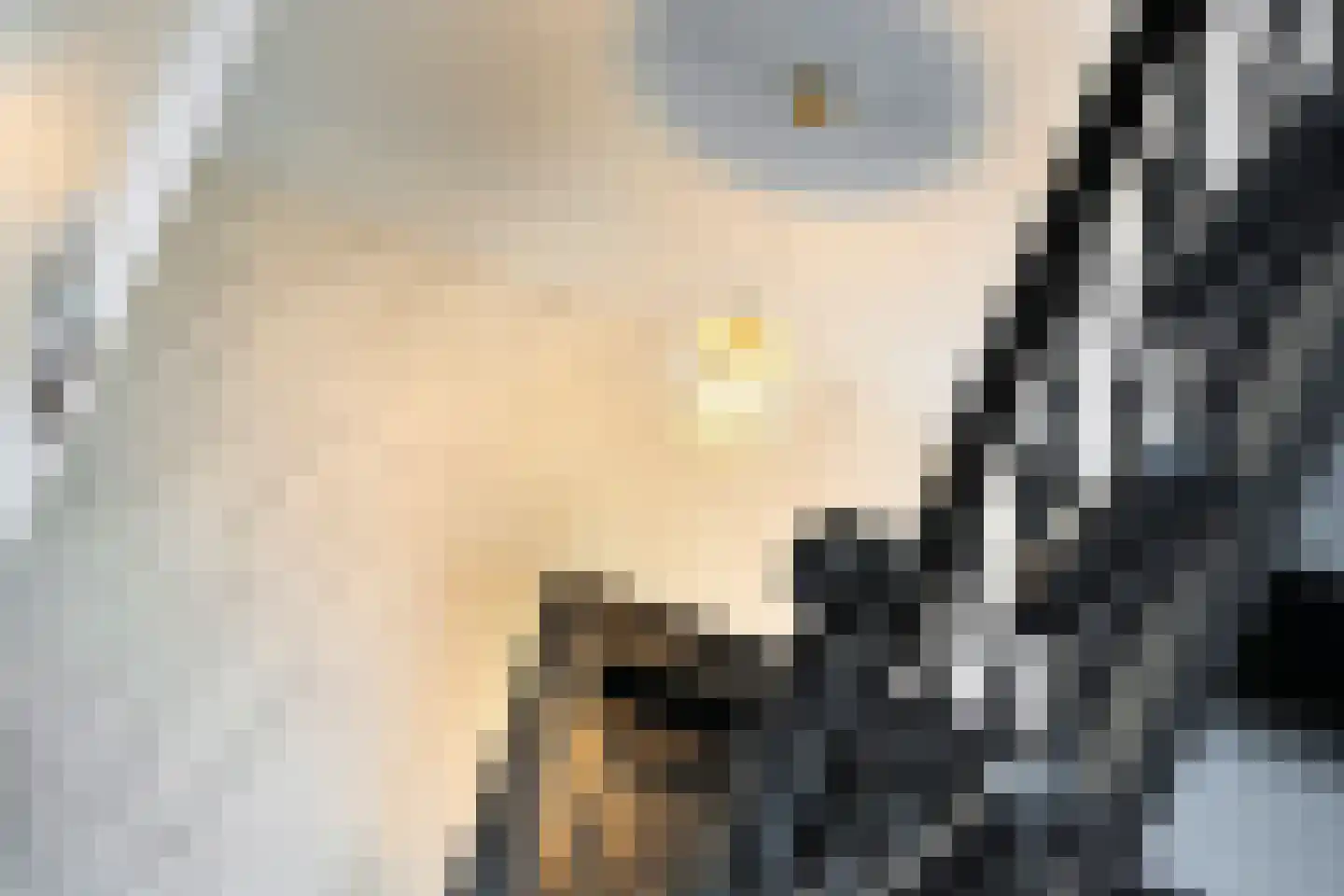 Julianastraat 1 Vlijmen thumbnail 18