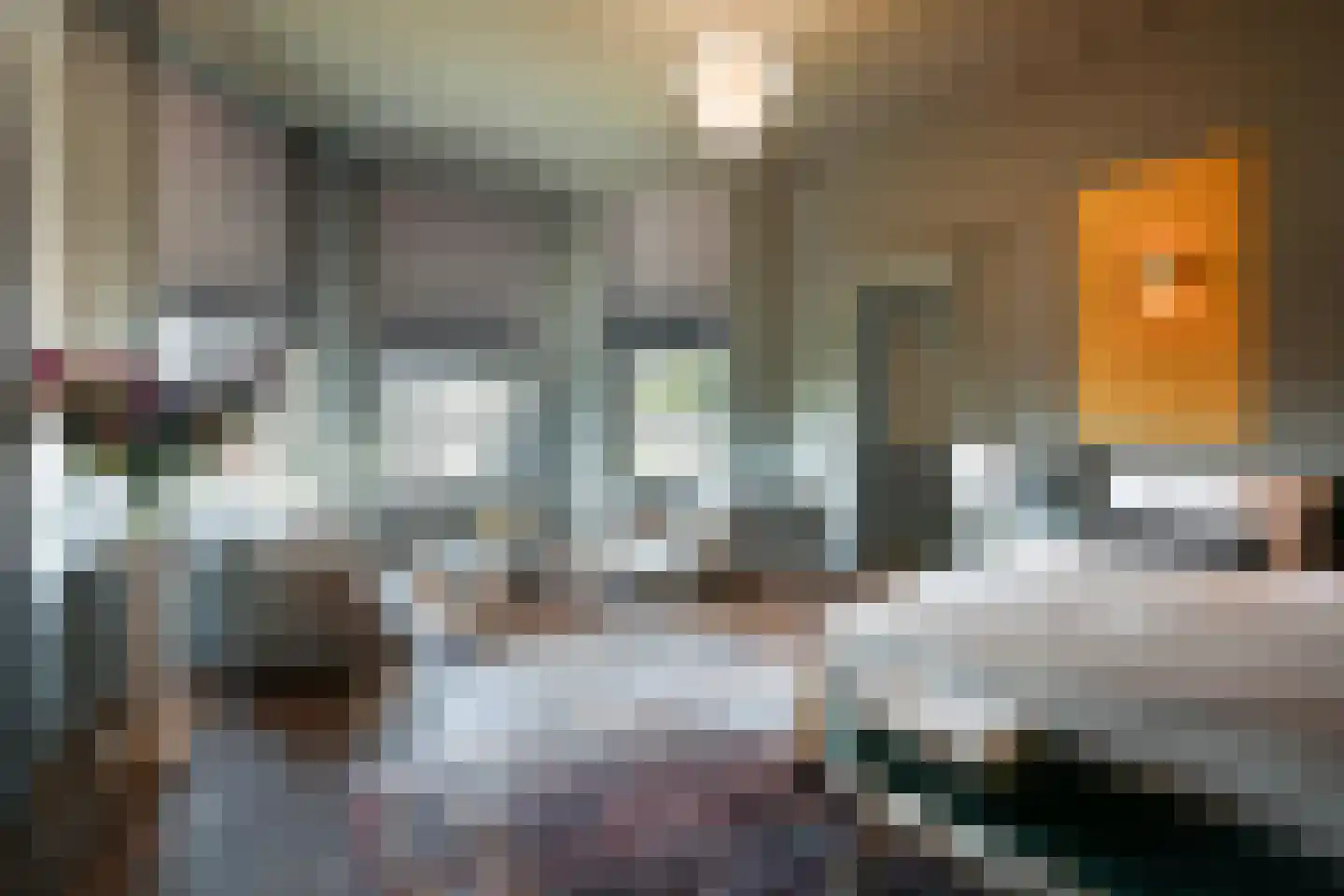 Julianastraat 1 Vlijmen thumbnail 19