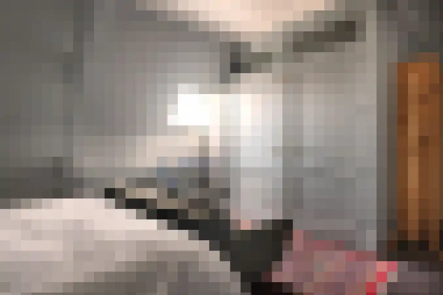 Julianastraat 1 Vlijmen thumbnail 43