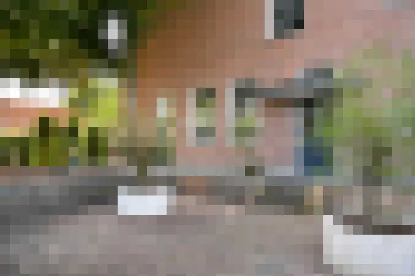 Julianastraat 1 Vlijmen thumbnail 45
