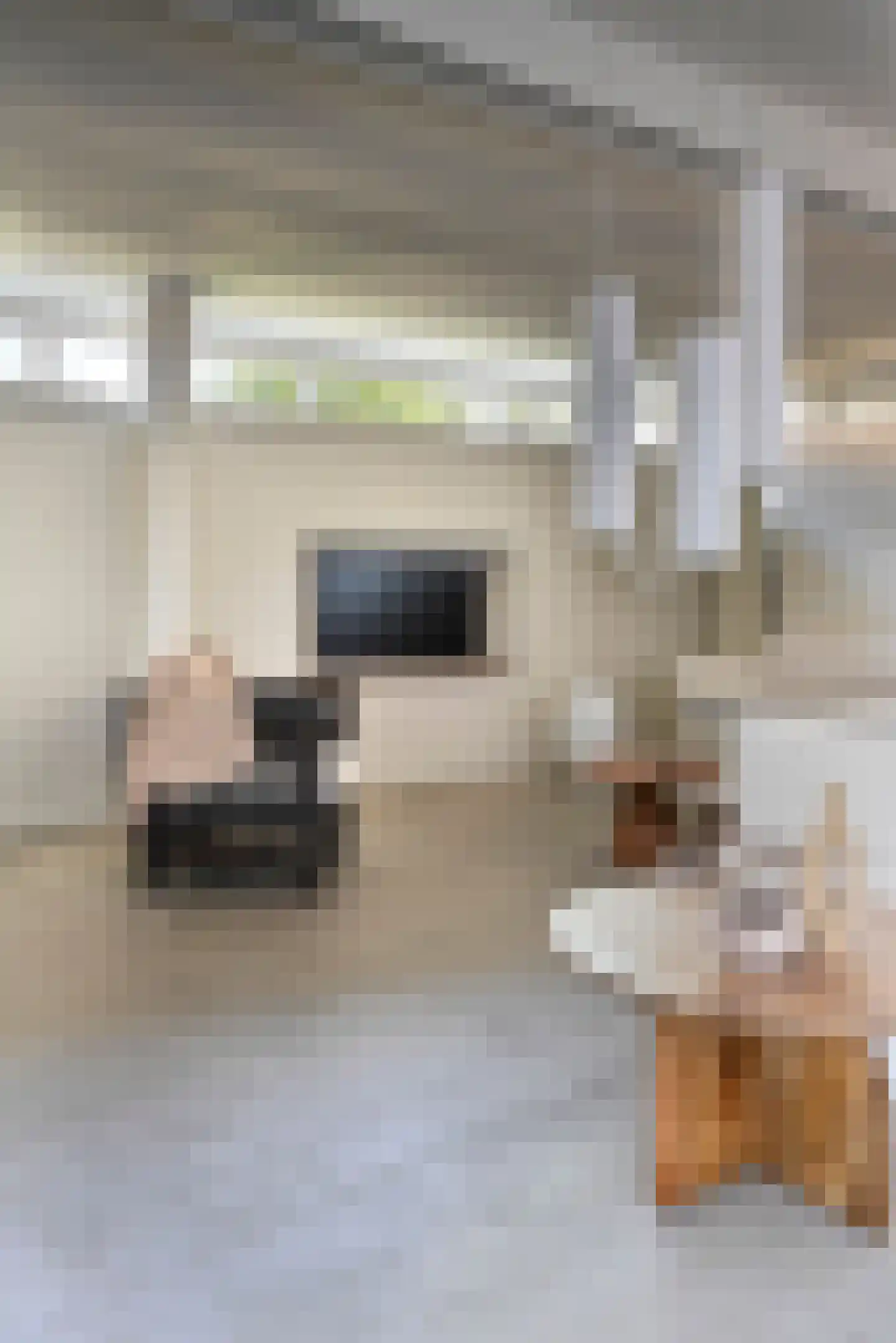 Julianastraat 1 Vlijmen thumbnail 53
