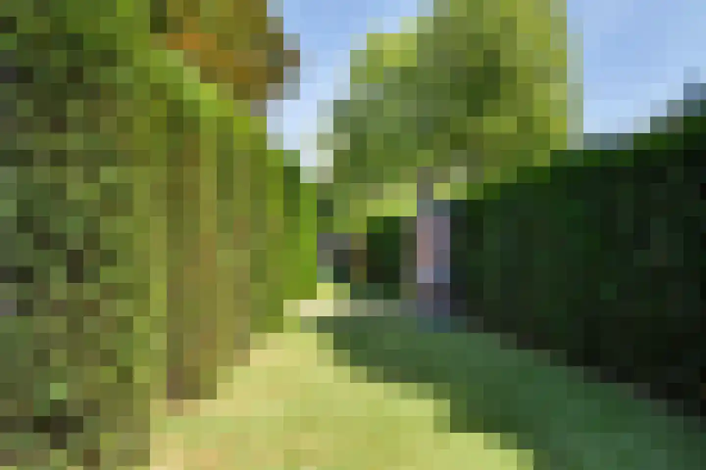 Julianastraat 1 Vlijmen thumbnail 57