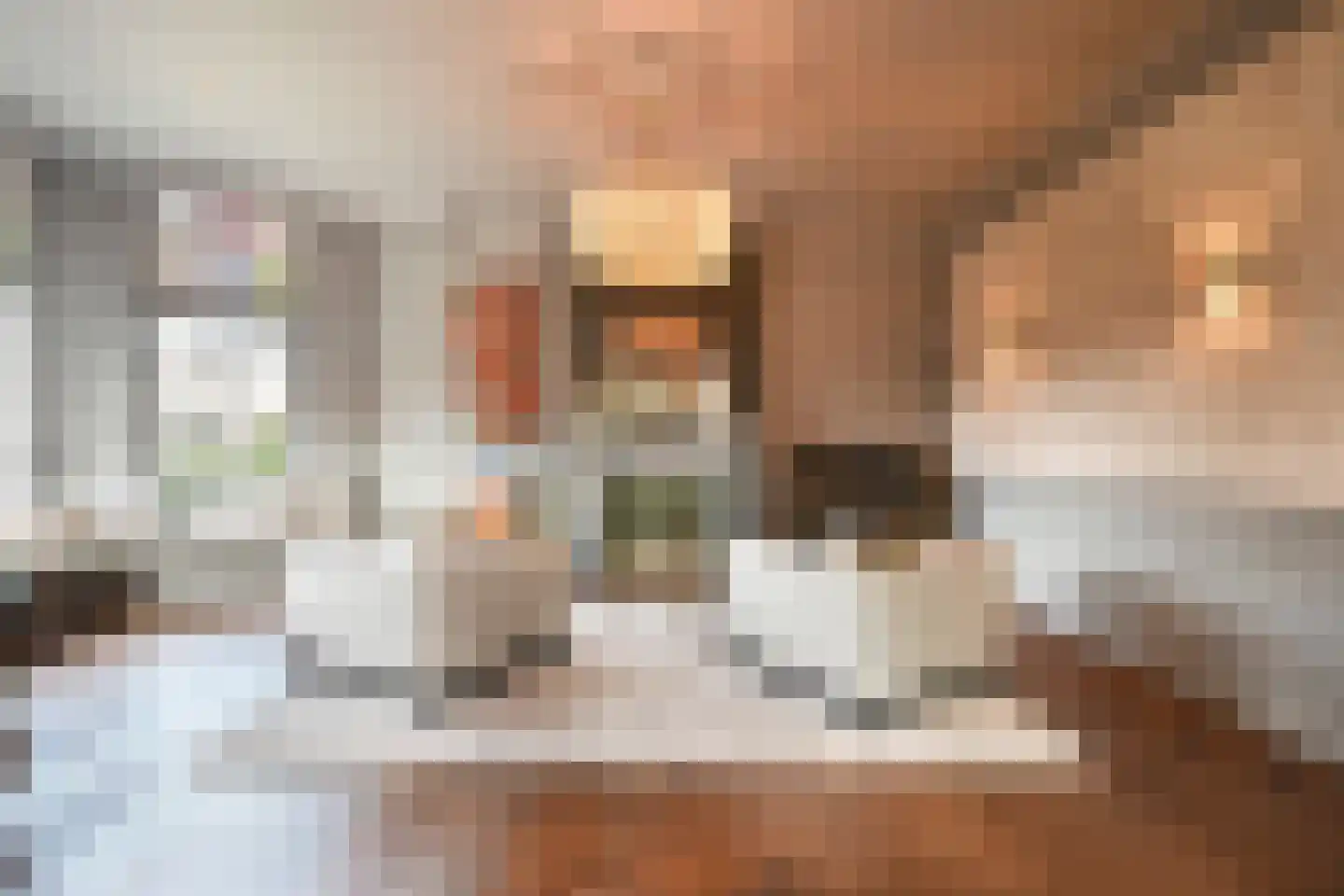 Julianastraat 1 Vlijmen thumbnail 8