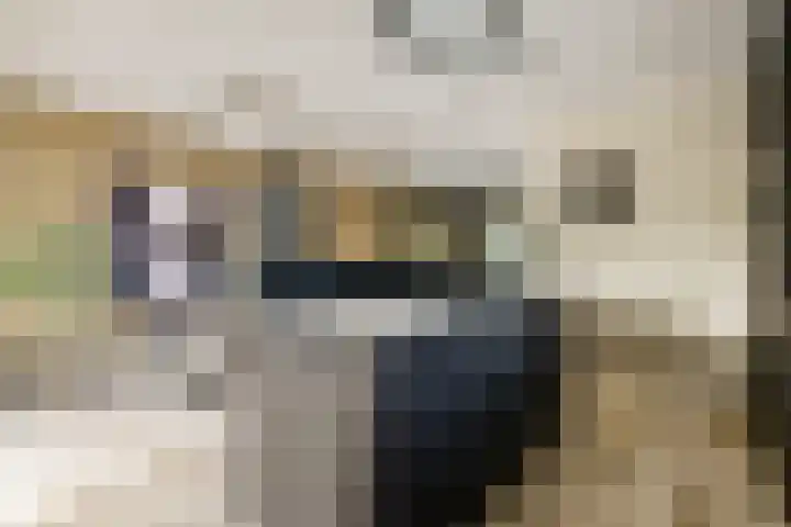 Julianastraat 1 Warmond thumbnail 13