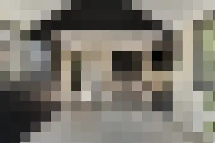 Julianastraat 1 Warmond thumbnail 17