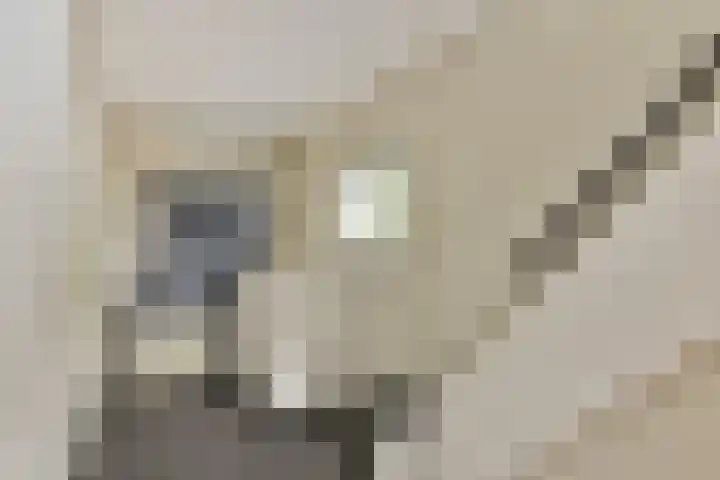 Julianastraat 1 Warmond thumbnail 26