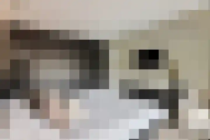 Julianastraat 1 Warmond thumbnail 28