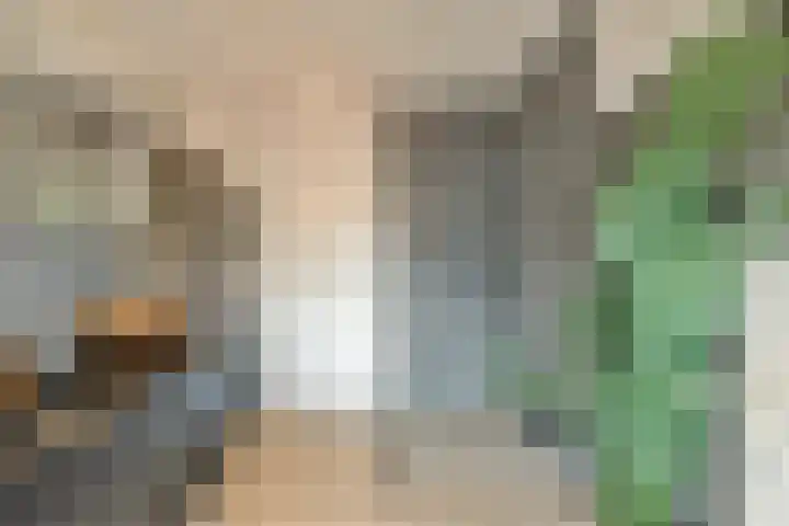 Julianastraat 1 Warmond thumbnail 32