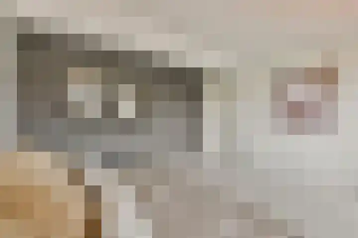 Julianastraat 1 Warmond thumbnail 34