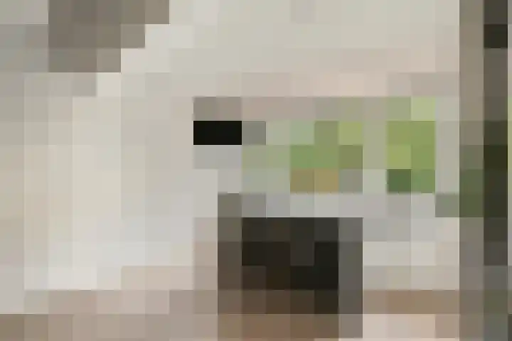 Julianastraat 1 Warmond thumbnail 35