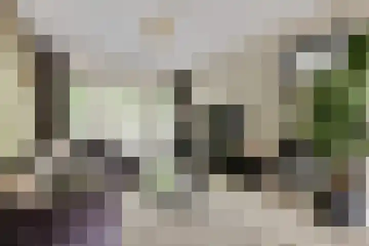 Julianastraat 1 Warmond thumbnail 6