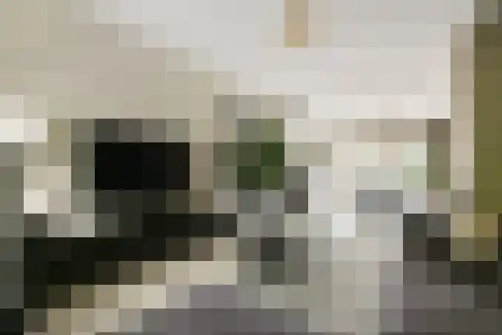Julianastraat 1 Warmond thumbnail 8