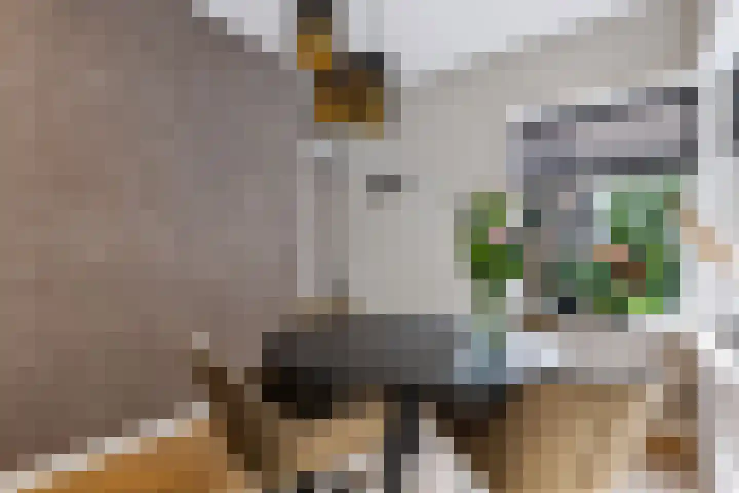 Julianastraat 10 Beilen thumbnail 12