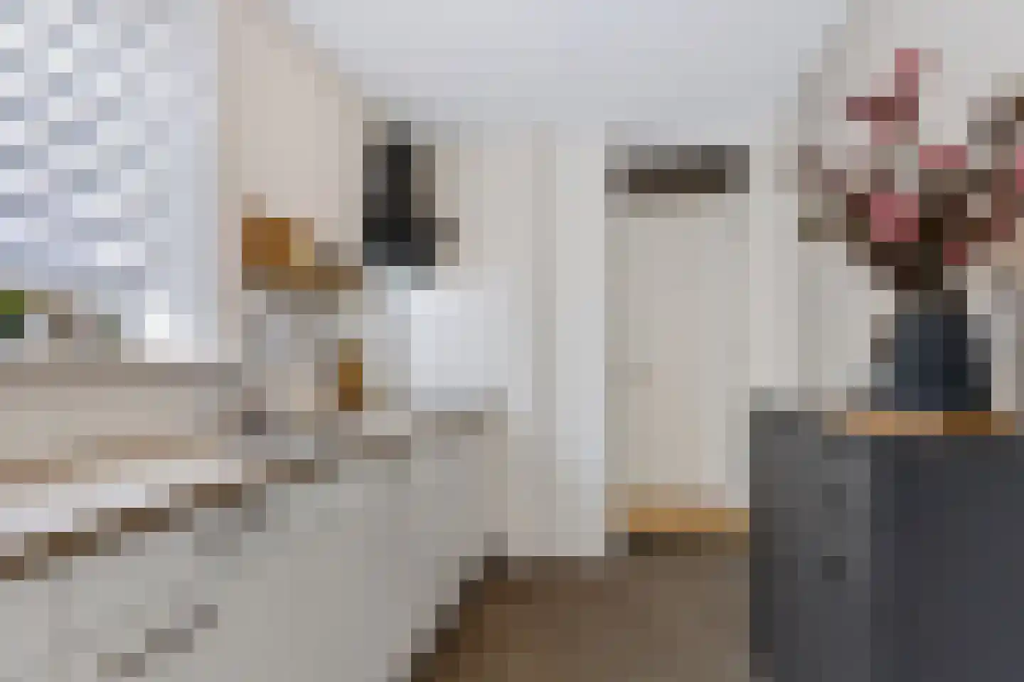 Julianastraat 10 Beilen thumbnail 14