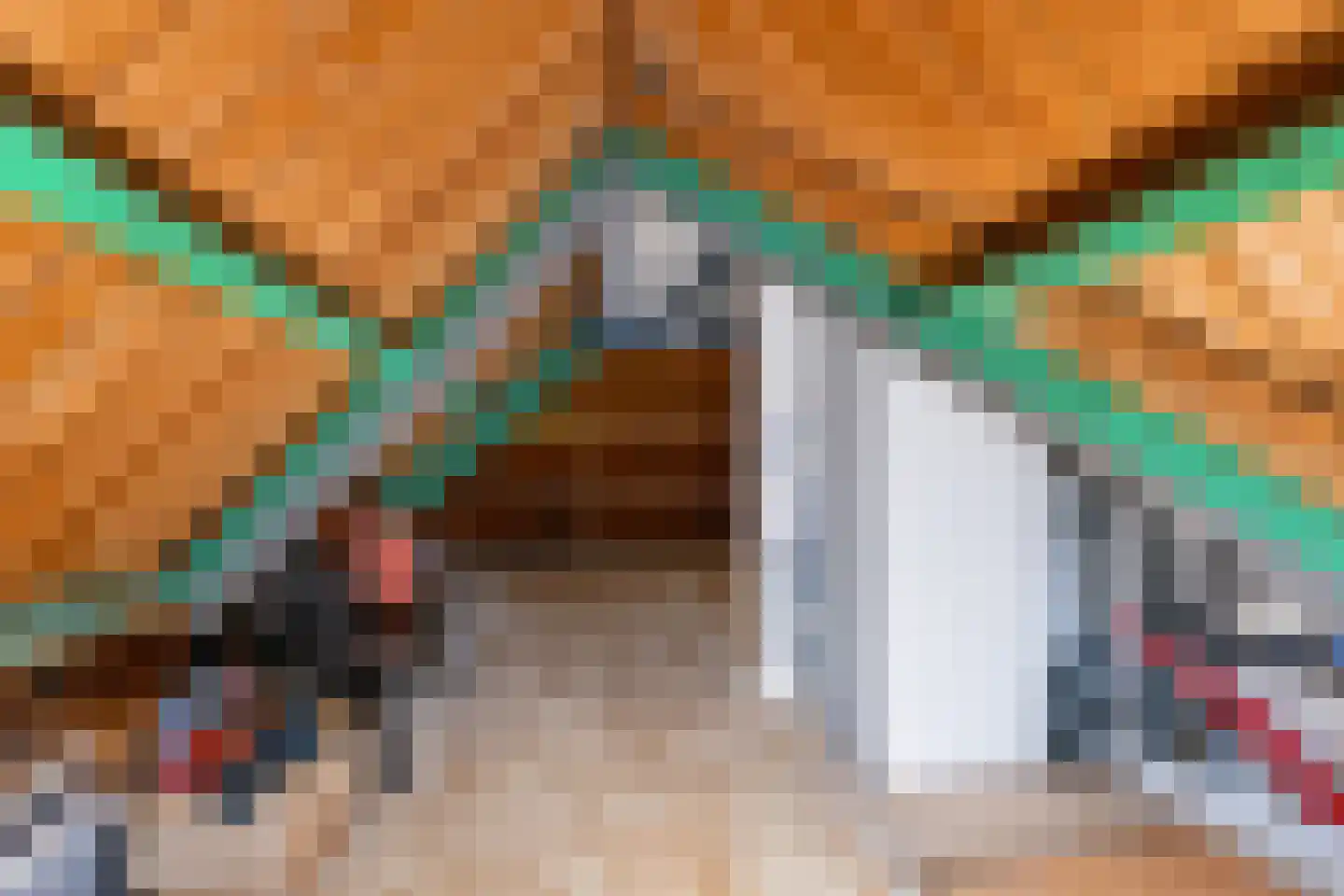 Julianastraat 10 Beilen thumbnail 29