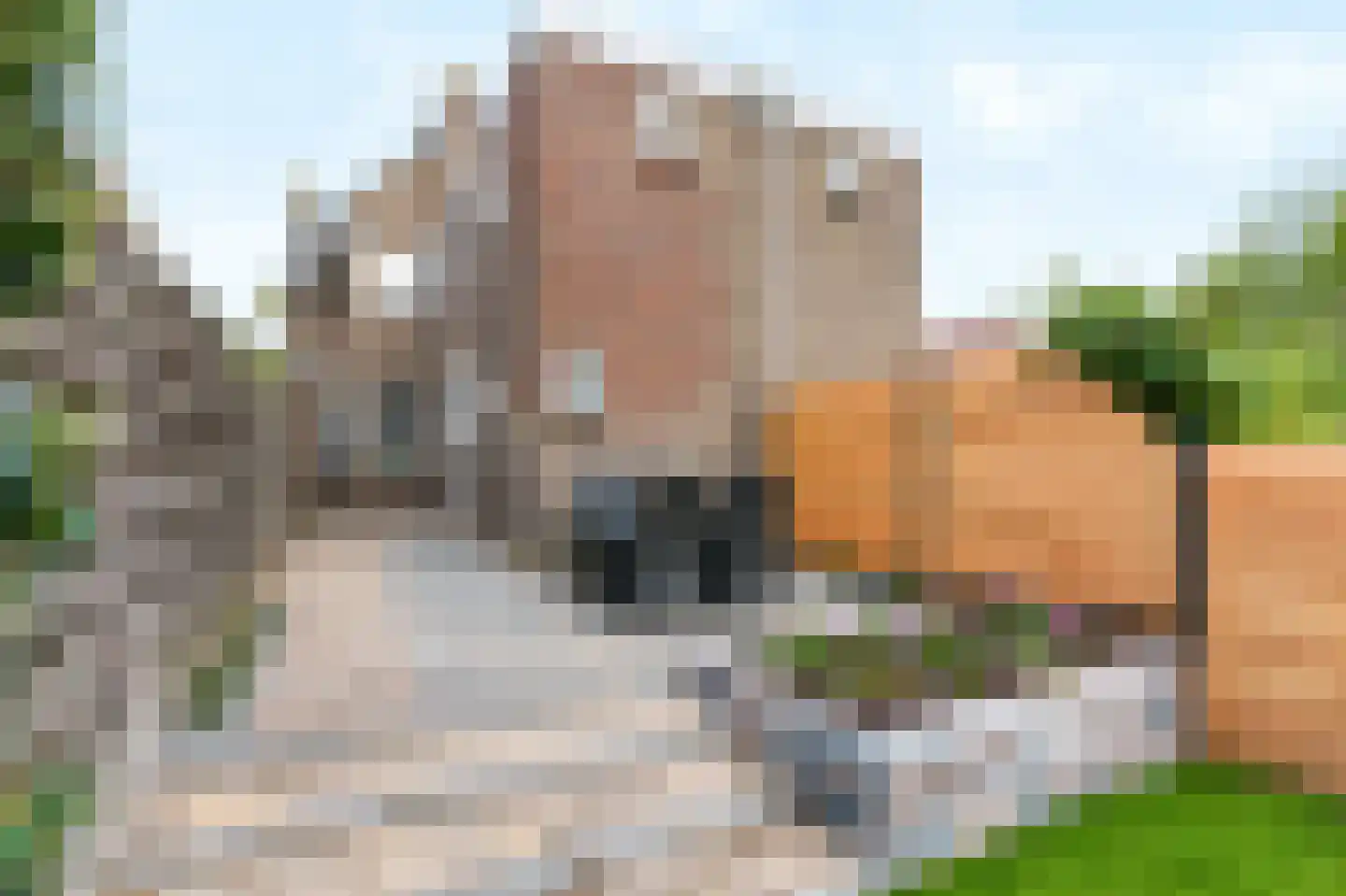 Julianastraat 10 Beilen thumbnail 32