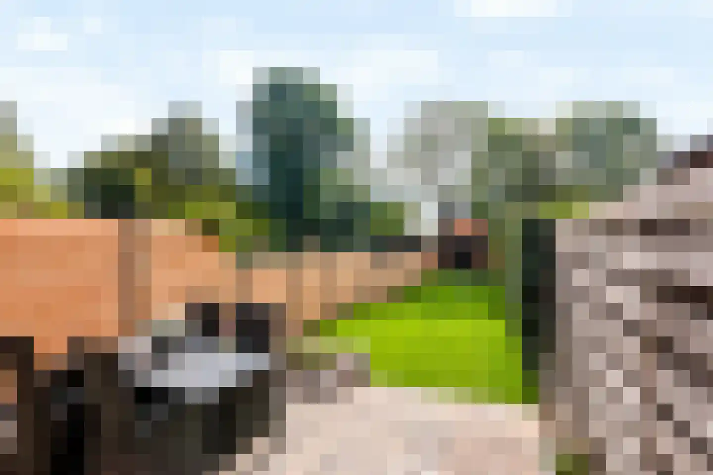 Julianastraat 10 Beilen thumbnail 4
