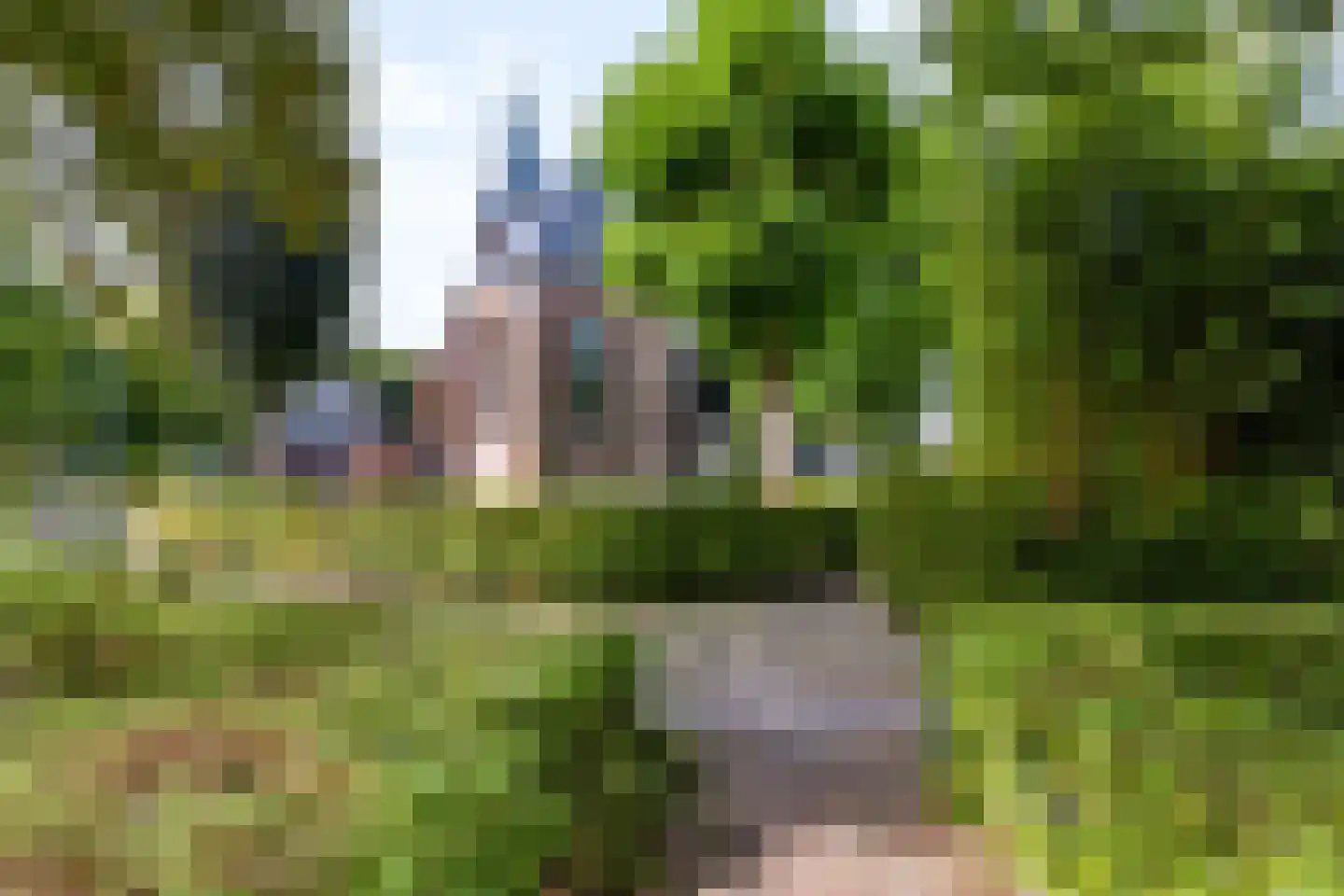 Julianastraat 10 Beilen thumbnail 41