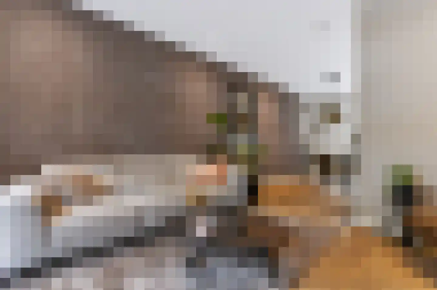 Julianastraat 10 Beilen thumbnail 5