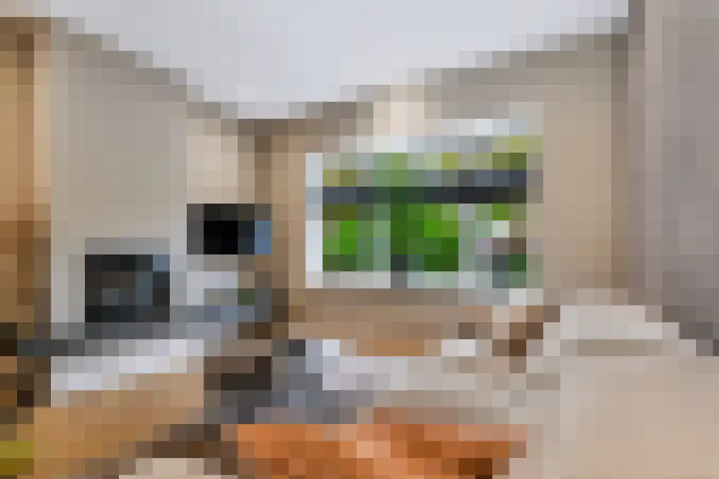 Julianastraat 10 Beilen thumbnail 6