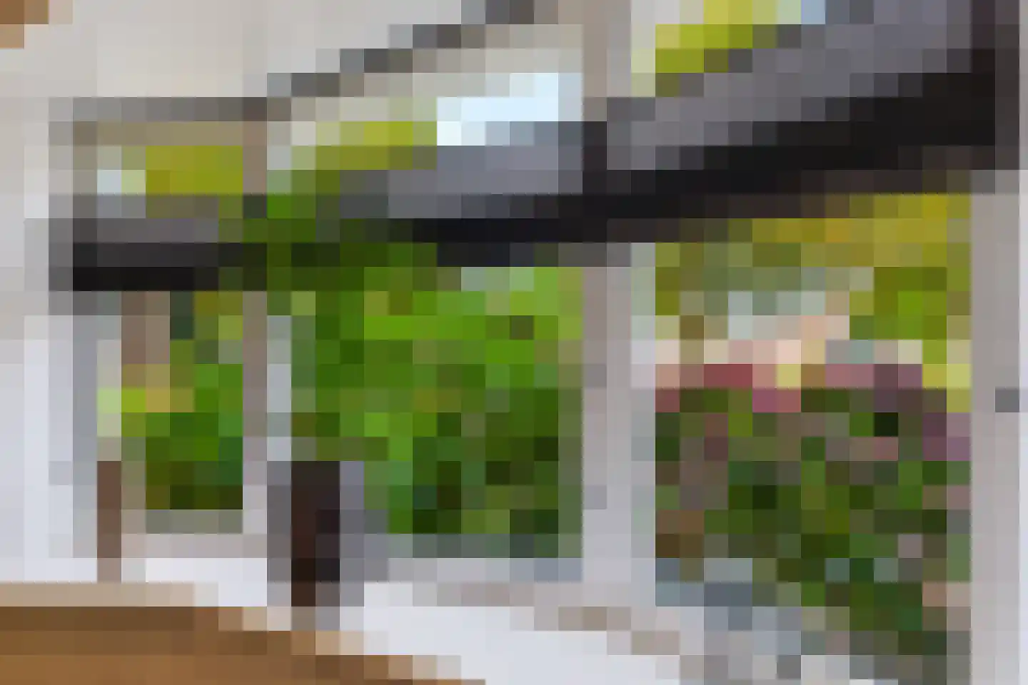 Julianastraat 10 Beilen thumbnail 8