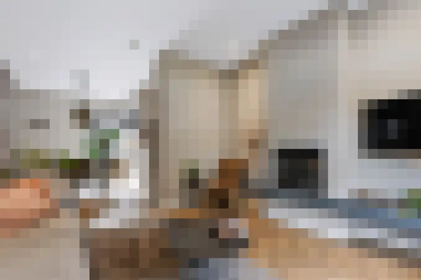 Julianastraat 10 Beilen thumbnail 9