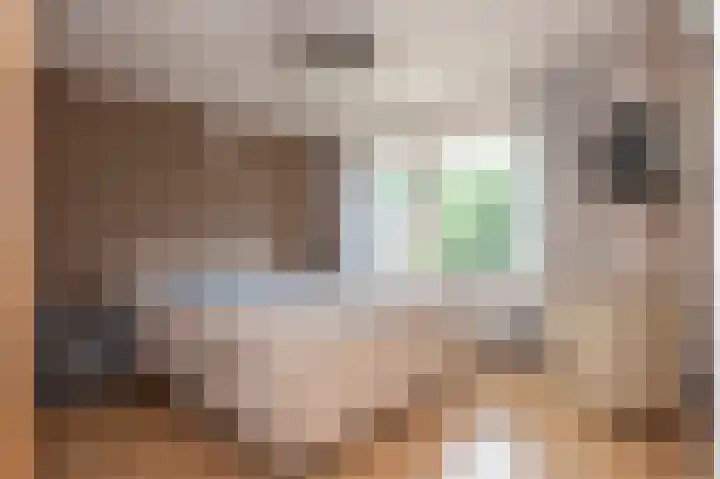 Julianastraat 10 Einighausen thumbnail 29