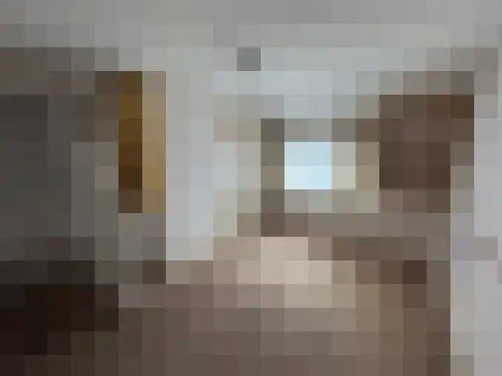 Julianastraat 10 Enter thumbnail 17