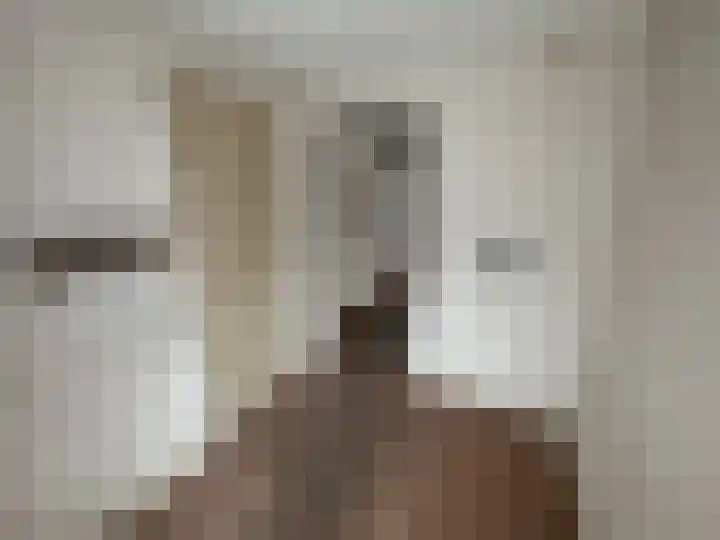 Julianastraat 10 Enter thumbnail 20