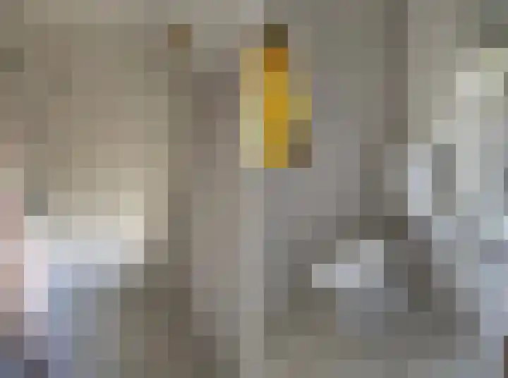 Julianastraat 10 Enter thumbnail 21