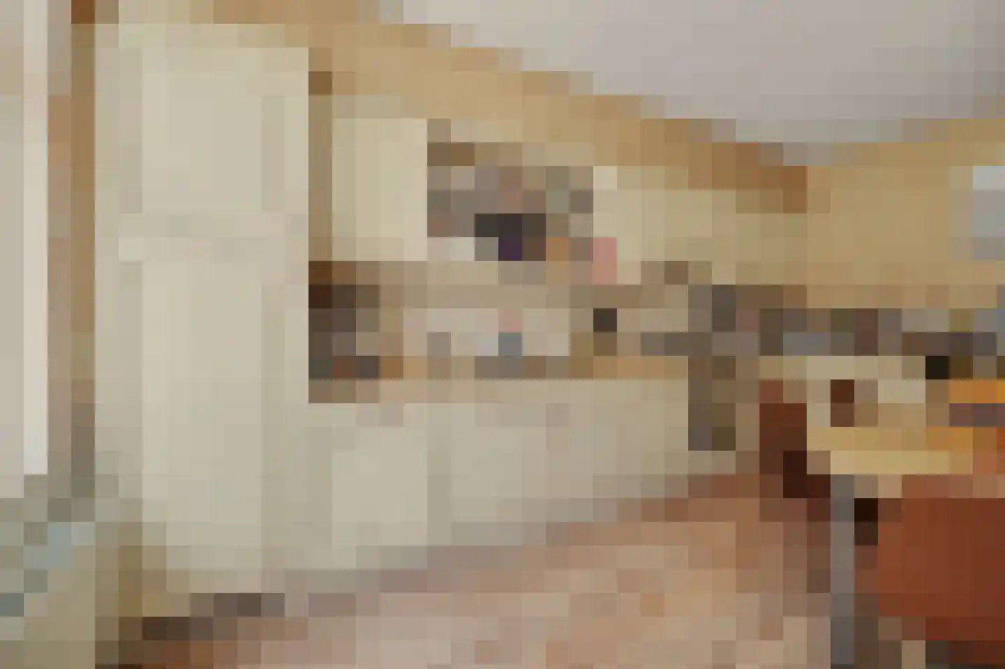 Julianastraat 10 Ooltgensplaat thumbnail 11